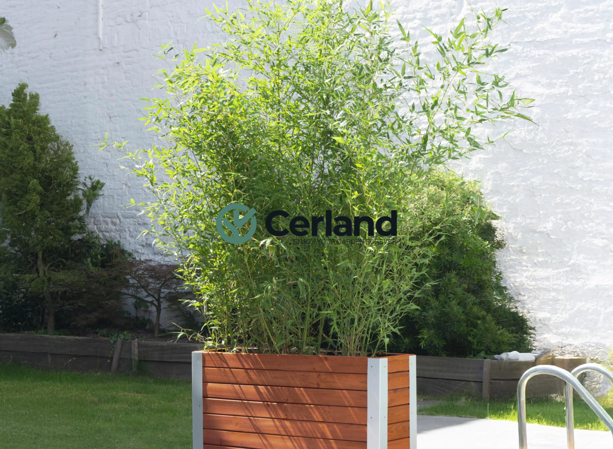 CERLAND