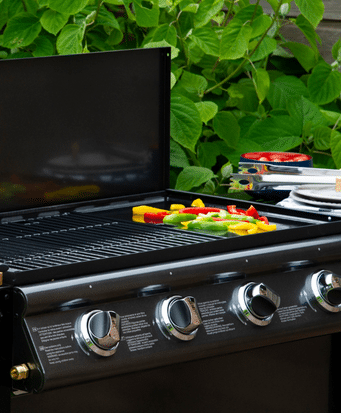 barbecue et plancha