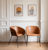 Lot de 2 chaises en simili...