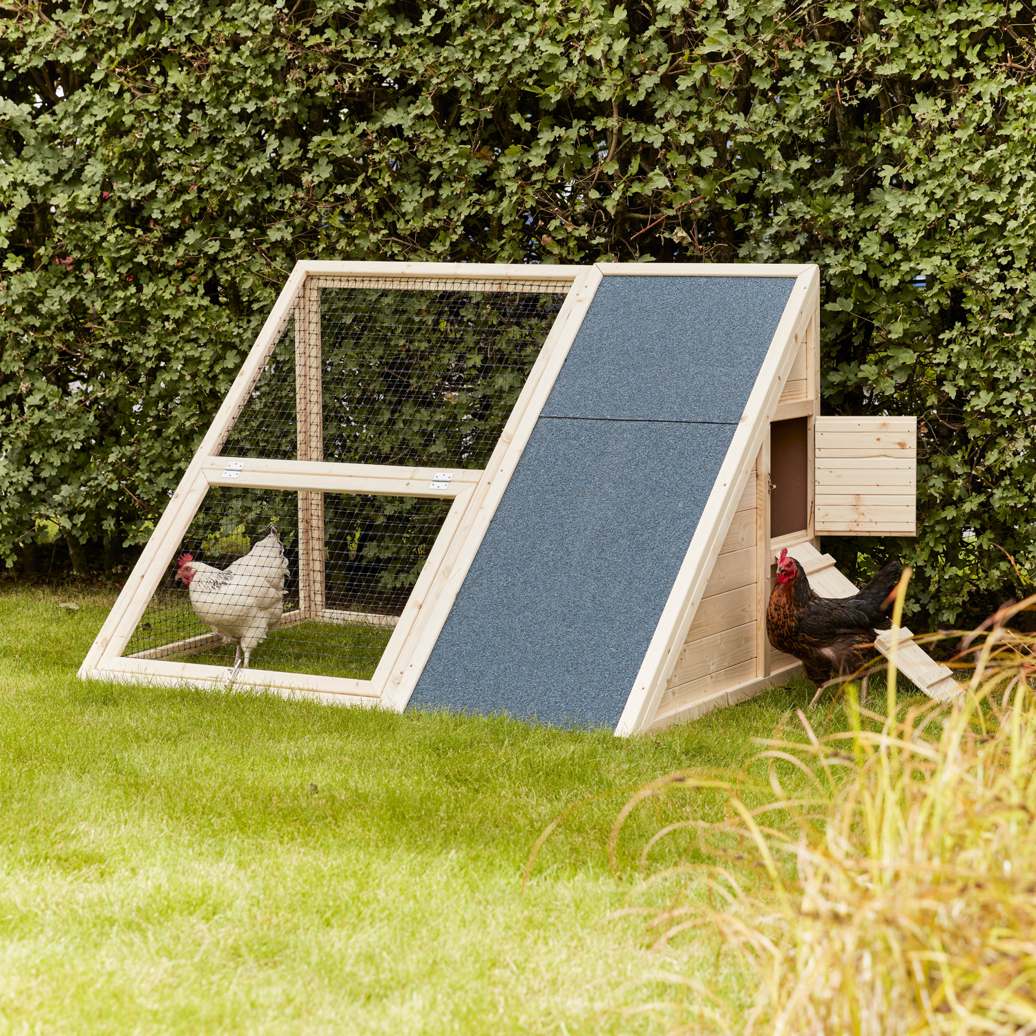 FOREST STYLE - Poulailler design 2 poules AVA