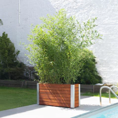 CERLAND - Bac 30x100x50,5cm...