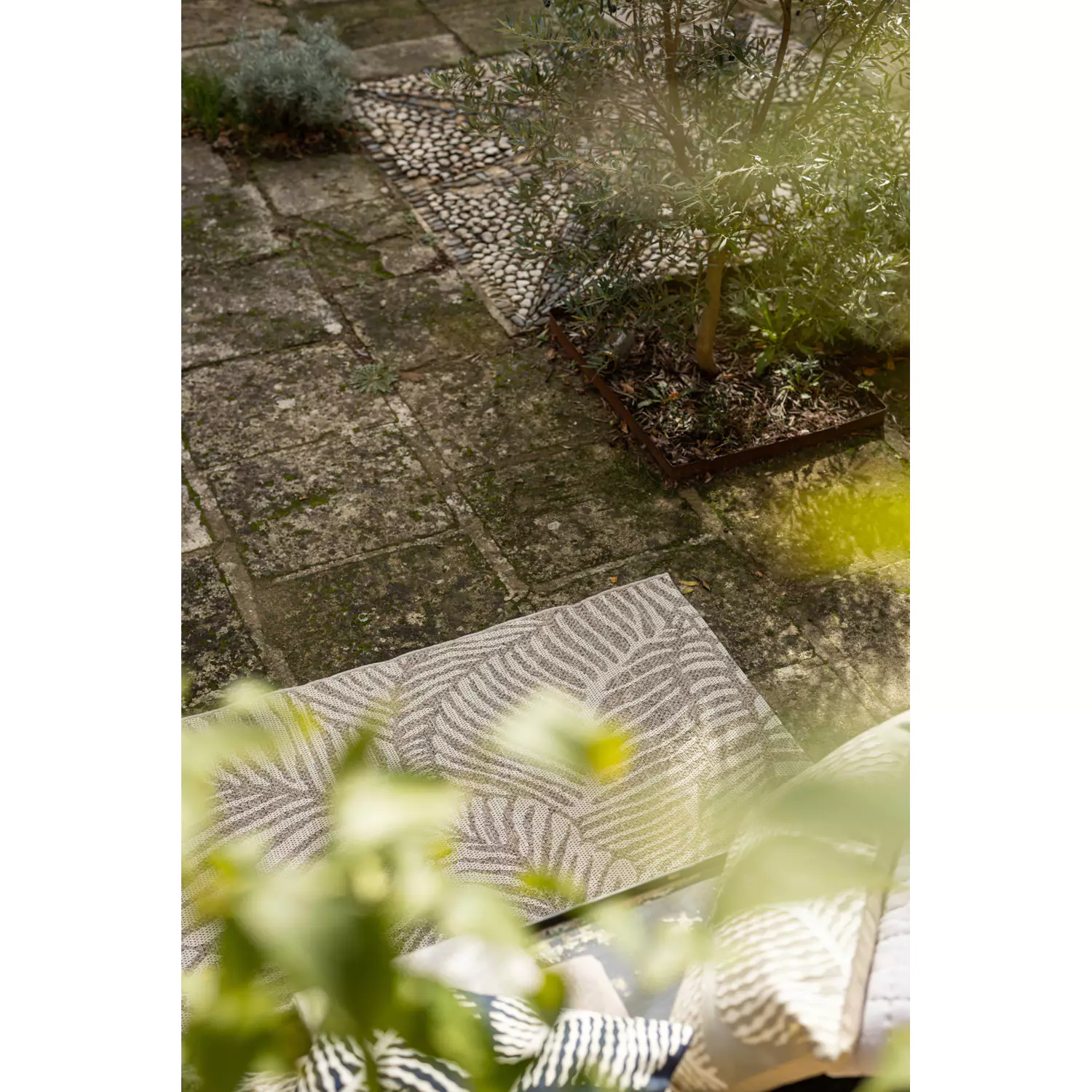 Tapis extérieur Vivaraise Lora - Tapis résistant polypropylène 100% naturel, 200 x 290 cm