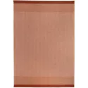 Tapis extérieur Slava en polypropylène Terracotta - Vivaraise
